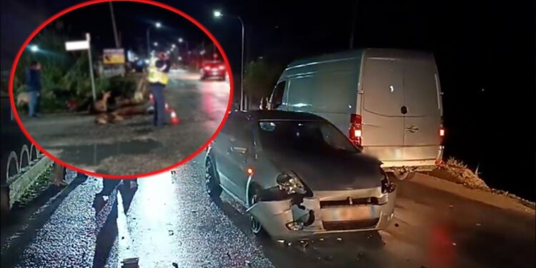 Aksident i pazakontë në Lushnjë! “Ford”-i merr para tufën me bagëti