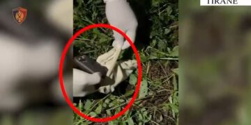 Rrëmbim për 5 mijë euro, 3 arrestime dhe 3 në kërkim