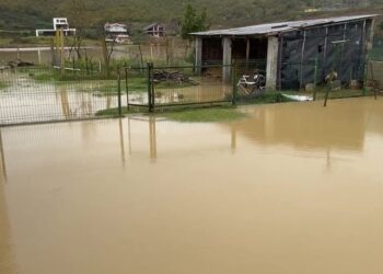 Familja me pesë anëtarë në rrezik, banesa rrethohet nga uji në Thumanë