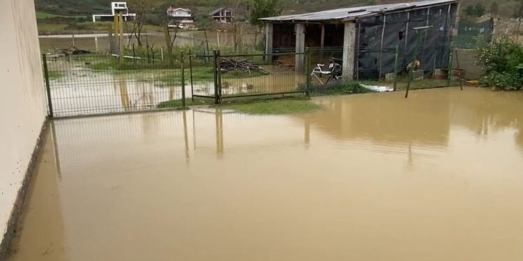 Familja me pesë anëtarë në rrezik, banesa rrethohet nga uji në Thumanë