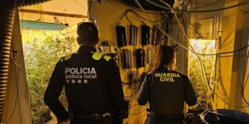 Spanjë/ Shkatërrohet plantacioni i kanabisit, prangoset i riu shqiptar