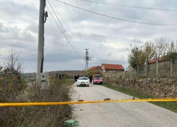 Vrau dy kunetërit, burri kishte dhunuar edhe gruan e tij me kabllo elektrik