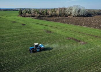 TVSH 10% për fermerët me NIPT, kush përfiton dhe si do të funksionojë skema e re