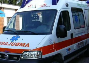 Foto, 8-vjeçari s*lmohet nga një qen endacak në Durrës