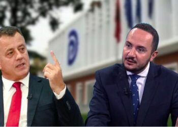 “U nisën të heqin Ramën, por si fillim hoqën Salianjin nga… ”, analisti ironi me protestën e PD