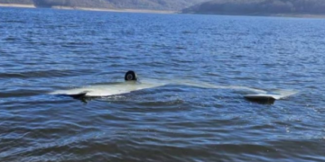 Rrëzohet avioni sportiv në Liqenin e Mavrovës, lëndohen dy shtetas të Kosovës