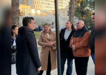 Shehaj: Të ngrihemi kundër atyre që ua bënë jetën të pamundur shqiptarëve