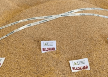 AKU kthen 51 ton misër të ardhur nga Serbia, pas analizave të kryera rezultuan me aflatoksinë