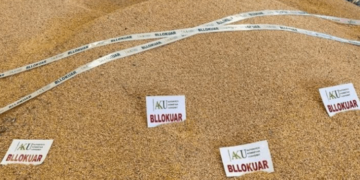 AKU kthen 51 ton misër të ardhur nga Serbia, pas analizave të kryera rezultuan me aflatoksinë