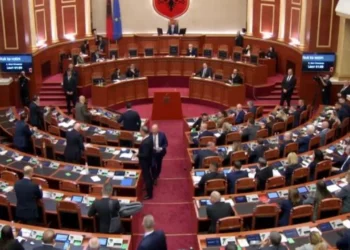 “Çojeni në burg!”Nis seanca plenare me debate dhe tensione, opozita PËRPLASET me punonjësit e Gardës