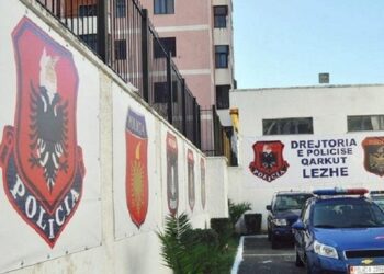 Merr flakë kabina elektrike në një pallat në Lezhë