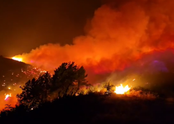 Zjarret në verë, Vengu: Mbi 345 milionë lekë dëmshpërblime për 15 bashkitë e prekura