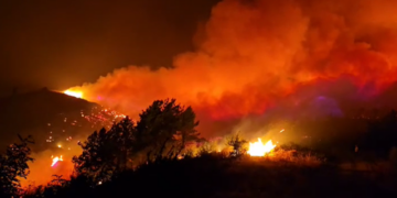 Zjarret në verë, Vengu: Mbi 345 milionë lekë dëmshpërblime për 15 bashkitë e prekura