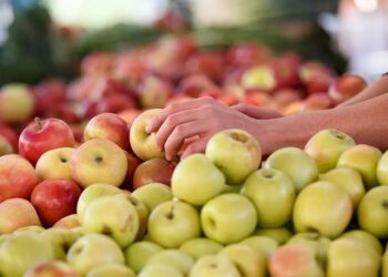 Alarm në Europë/ Mollët e kontaminuara me “kokteje pesticidesh”, çfarë zbulon studimi