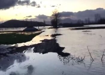 Përmbytje në Obot/ Shkodër, fryhen Buna dhe Drini, 500 hektarë tokë nën ujë