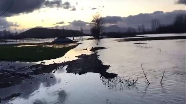 Përmbytje në Obot/ Shkodër, fryhen Buna dhe Drini, 500 hektarë tokë nën ujë