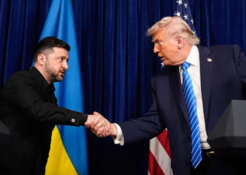 Plani i Paqes/ Zelensky takohet me Trump në Davos të enjten, ndërsa Witkoff do të pritet nga Putin