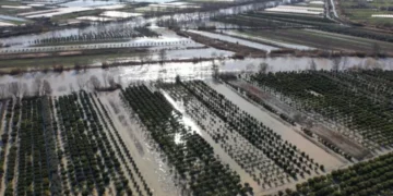 Fshatrat e Dimalit nën ujë, rrjedhja e lumit Osum përmbyt serat dhe të mbjellat e fermerëve