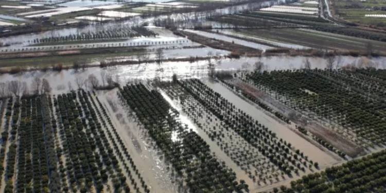 Fshatrat e Dimalit nën ujë, rrjedhja e lumit Osum përmbyt serat dhe të mbjellat e fermerëve