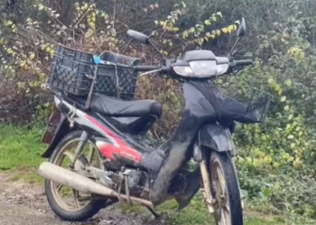 Aksident me vdekje në Lushnjë, humb jetën 70-vjeçari