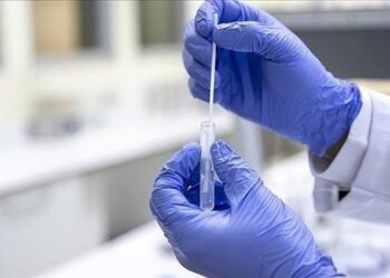 Koreja e Jugut konfirmon rastin e tetë të murtajës afrikane të derrave