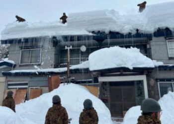 Tragjedi në Japoni: 45 të vdekur, mbi 500 të lënduar nga pastrimi i borës