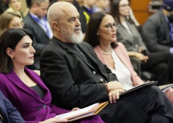 BIRN: Pas skandalit korruptiv, PS propozon ‘privatizimin’ e tenderave të AKSHI