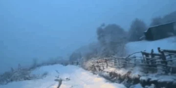 Dëbora arrin në 20 cm në fshatin Rovje të Gramshit, kalohet vetëm me zinxhirë