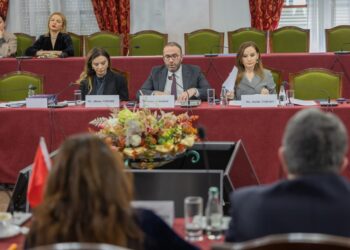 PD takon misionin e PE, Bardhi: Shqipëria në regres në luftën kundër korrupsionit dhe krimit