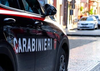 “S’të lë të divorcohesh nga im bir”/ Vjehrri sulmon nusen me hanxhar, 10 goditje në kokë e dorë