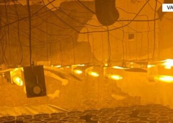 “Shtëpitë e barit” të zbuluara në Vaun e Dejës, arrestohet edhe një 46-vjeçar