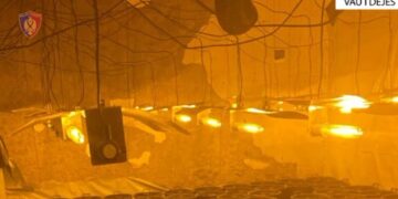 “Shtëpitë e barit” të zbuluara në Vaun e Dejës, arrestohet edhe një 46-vjeçar