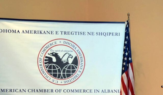 Alarm për e-Albania: rrezik për biznesin dhe të dhënat