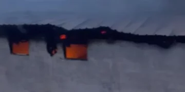 Digjet një stallë në Selenicë, 22 krerë bagëti humbin jetën; dyshohet shkëndijë elektrike