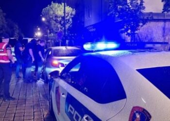 Policia kap 16 emigrantë të paligjshëm në Korçë