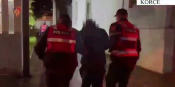 Operacion antidrogë në Korçë, arrestohen 3 persona, sekuestrohet mbi 1 kg kanabis dhe kokainë