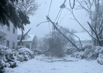 Stuhia ‘paralizon’ SHBA-të: 7 shtete në emergjencë, miliona njerëz të bllokuar