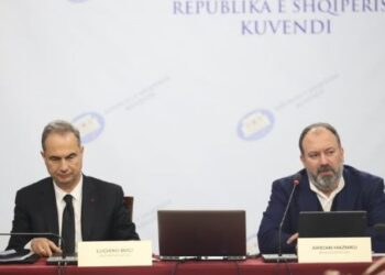 Boçi: PD ka kërkuar dëgjesa të hapura, terreni i vërtetë i opozitës