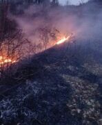 Zjarri përfshin kodrat në fshatin Somotinë në Pogradec, era favorizon përhapjen e flakëve