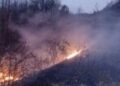 Zjarri përfshin kodrat në fshatin Somotinë në Pogradec, era favorizon përhapjen e flakëve