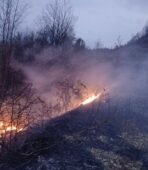 Zjarri përfshin kodrat në fshatin Somotinë në Pogradec, era favorizon përhapjen e flakëve