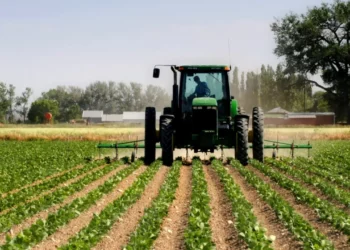 Qeveria miraton fondin 2026 për bujqësinë, mbështetje për fermerët dhe blegtorët