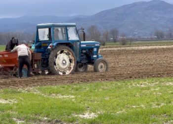 “Nafta në rritje”/ Fermerët e Maliqit: Po detyrohemi të ikim, thirrje Ramës