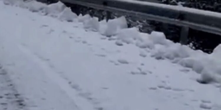 Zbardhet Qafa e Llogarasë, reshje dëbore me intensitet të ulët deri në mesatar