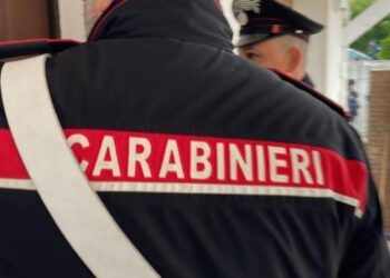 Plan grabitjeje me armë ndaj furgonit me para, arrestohen 14 persona, mes tyre 3 shqiptarë