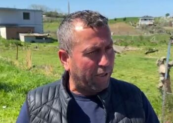 Krimi në Roskovec/ Vëllai: “E vrau motrën”, zbulon detaje tronditëse