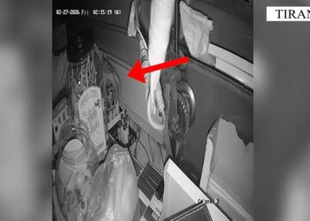 Kreu 4 vjedhje në lokale dhe banesa, arrestohet ‘skifteri’ në Kamëz