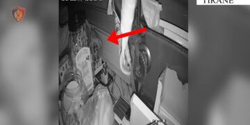 Kreu 4 vjedhje në lokale dhe banesa, arrestohet ‘skifteri’ në Kamëz