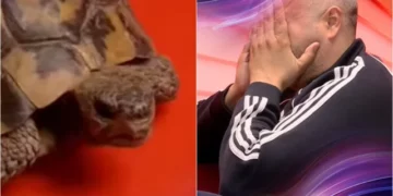 “Kam frikë o Miri” – Rogerti “i tmerruar”, shpërthen në lot kur sheh… breshkën!