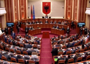 Nis seanca plenare/ Opozita me pankarta në sallë, jashtë protestë